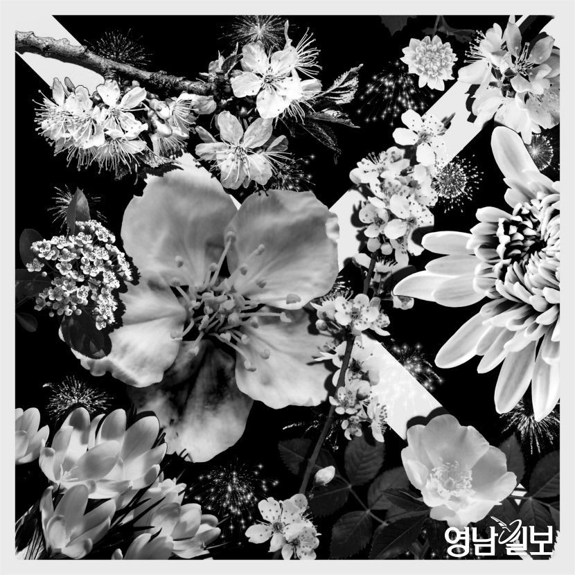 수창청춘맨숀&영남일보, 11월1일부터 14일까지 NFT플랫폼 캔버스(CANVERSE)서 New Opening전