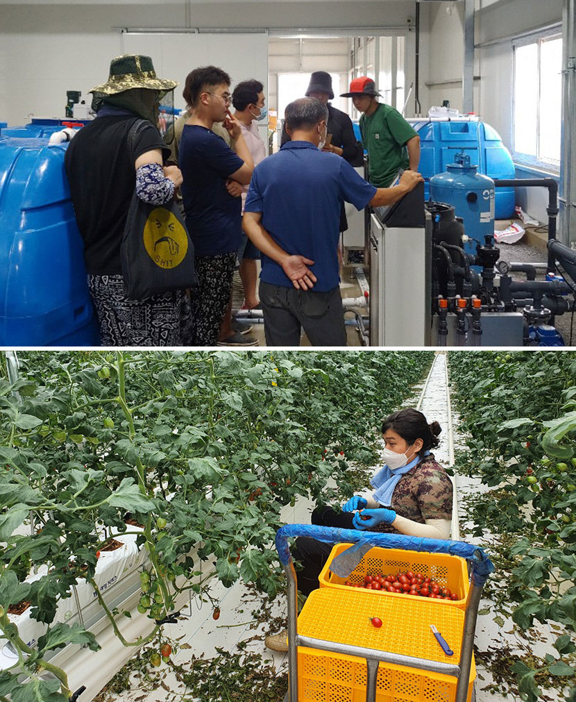 2021110201000069700001991