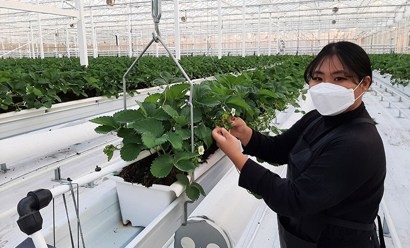 2021110201000070000002021