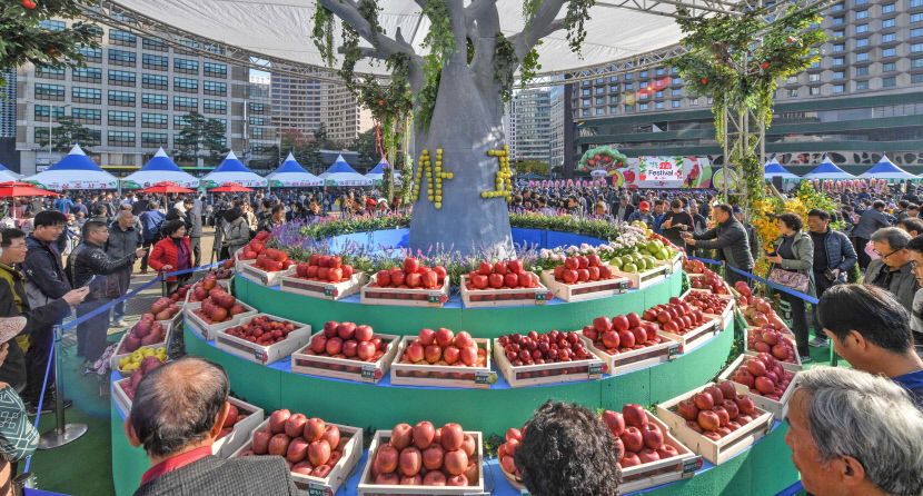 191105서울경북사과17
