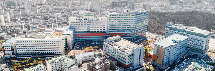 2021110901000177700006171