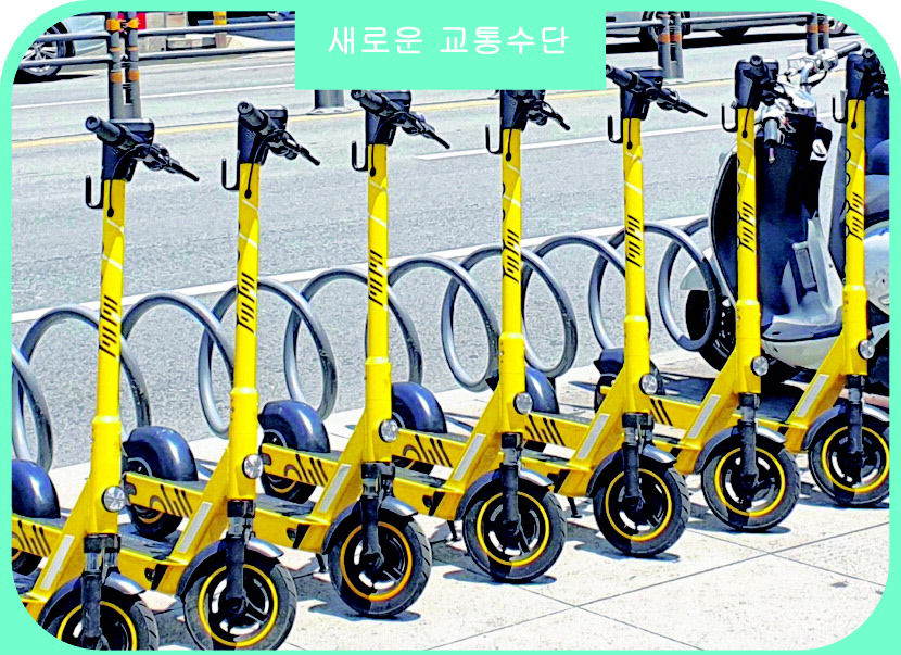 2021111601000514700019772