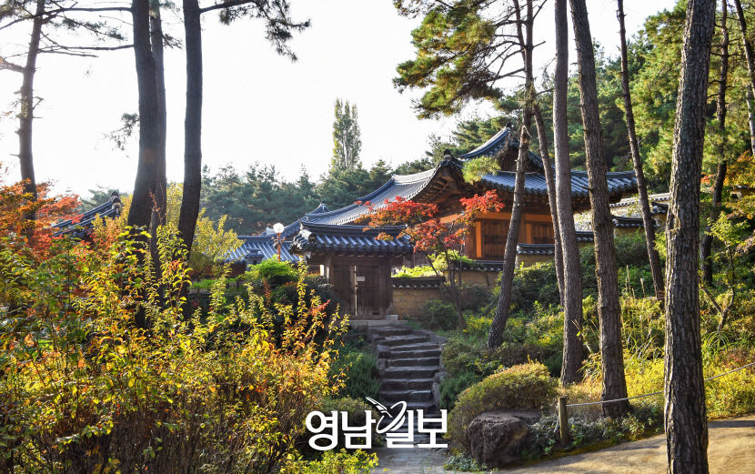 [新한류의 중심 대구 .5] 영화·드라마 촬영지…여기가 드라마 속 거기…대구 핫스폿 한류 콘텐츠로 뜬다