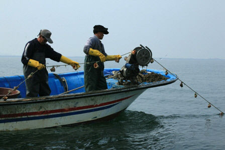 주꾸미잡이(소라방)IMG_4095