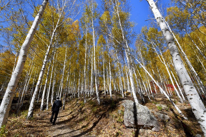 2021122801000841100034172