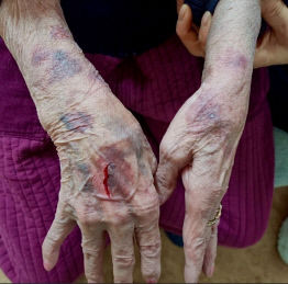 2022010901000229500009391