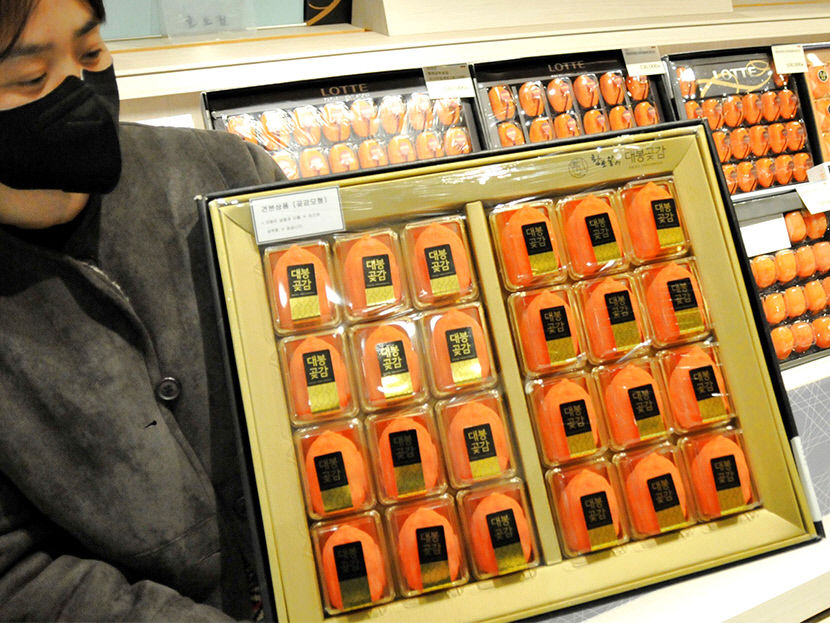 2022012001000621500025331