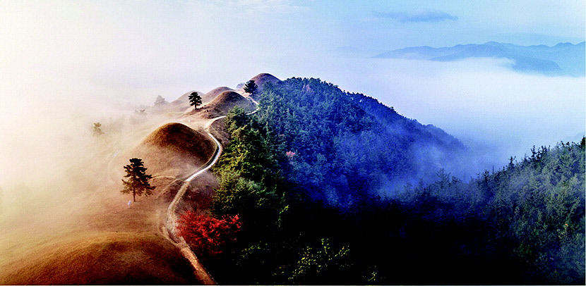 2022020601000095500004451