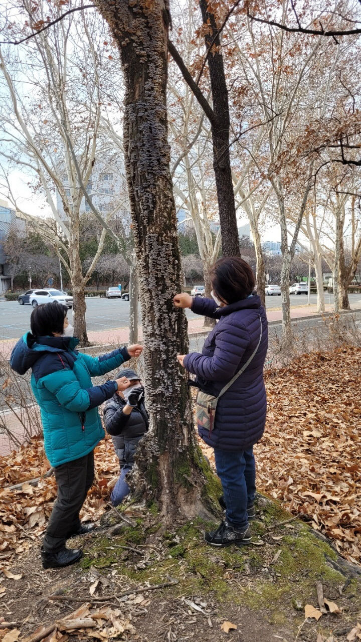 시민기자