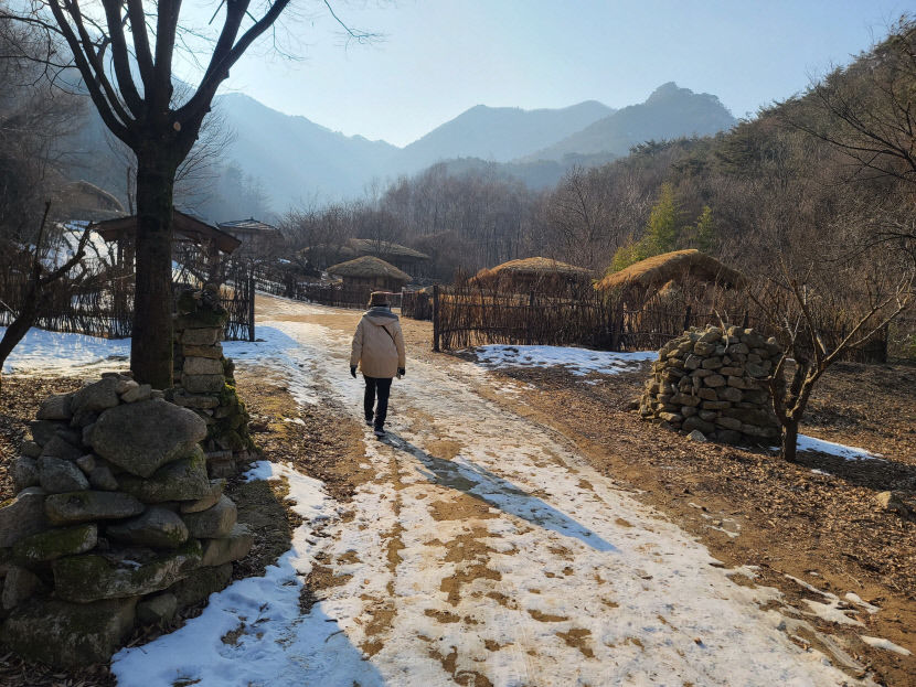 일지매산채