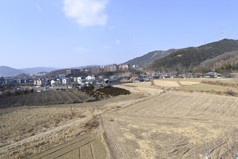 달성 유가 박근혜 전 대통령 사저 일원 땅값 들썩...토지 매물 사실상 실종