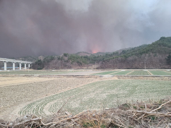 [5보] 울진 산불, 원전은 비켜갔지만…삼척 LNG 생산기지 인근까지 번져