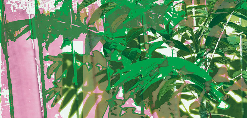 2022030601000199700008602