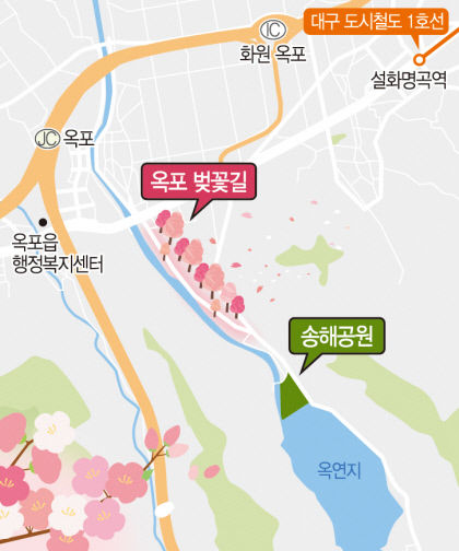 [달성 12경, 색다른 매력에 빠지다] (1) 옥포 벚꽃길과 옥연지 송해공원