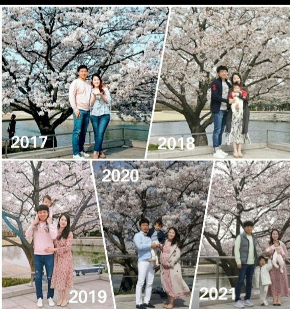 가족사진