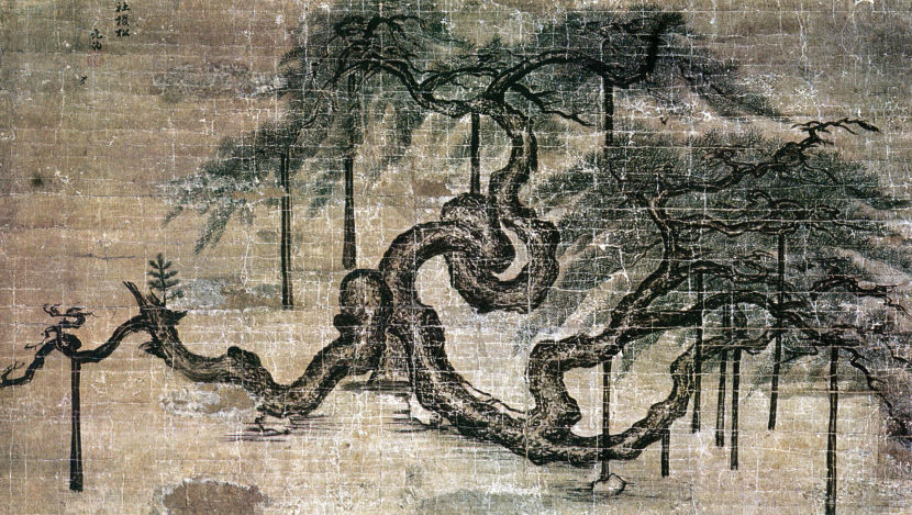 정선,사직노송,