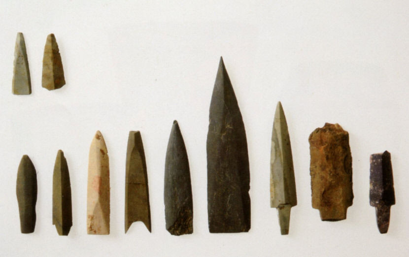 2022040501000164800005971