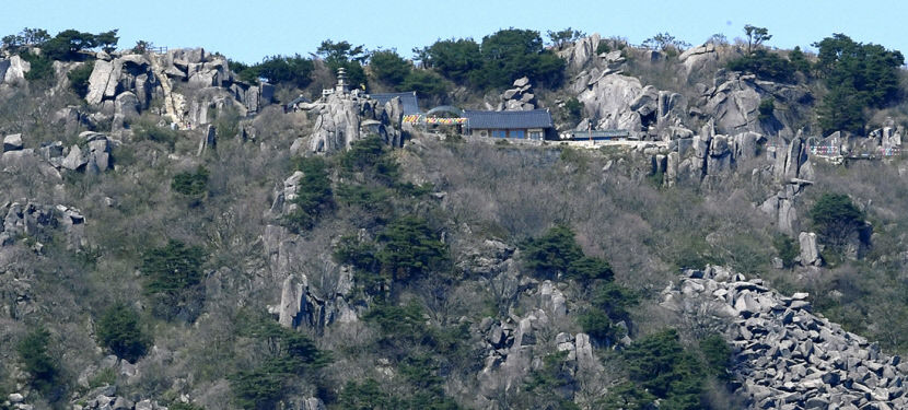 [달성 12경, 색다른 매력에 빠지다] (2) 비슬산 참꽃 군락지와 천년고찰 대견사...봄이면 대견사 능선 따라 분홍의 파도 출렁