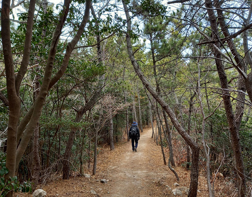 2022042501000691400028334