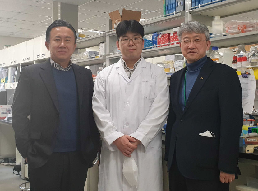 ‘뇌졸중 사망률을 줄인다.’ 효과는 높이고 부작용은 낮추는 새로운 뇌졸중 치료제 개발
