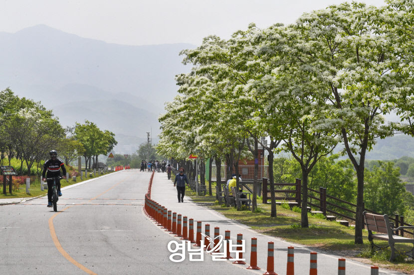 [달성 12경, 색다른 매력에 빠지다] (6) 물 문화 상징 건축물 디아크, 바닷속 고래가 튀어오르는 듯…자연과 건축이 만나 예술이 되다