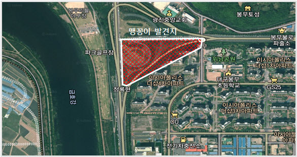 6월 봉무IC 맹꽁이 서식 조사 나선다…엑스코선 차량기지 변수 될까