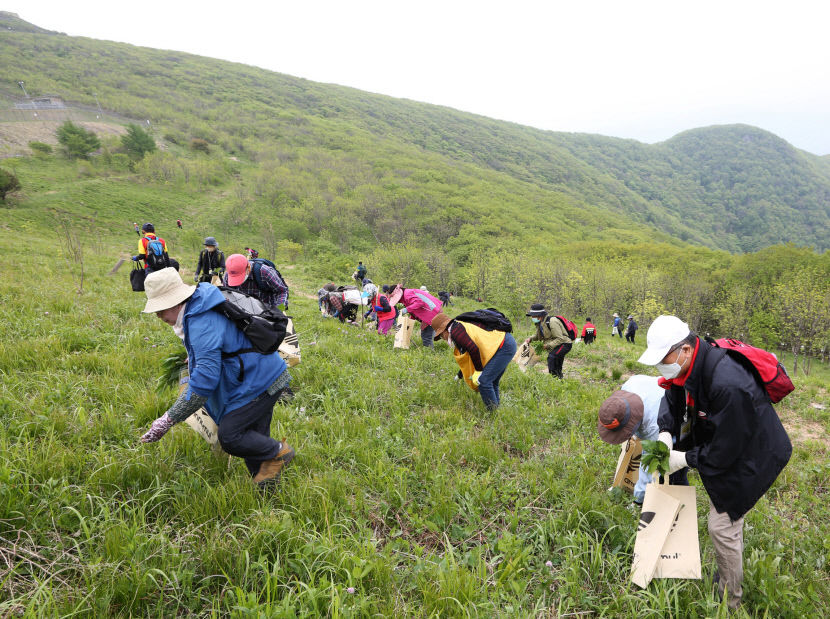 산나물체험장