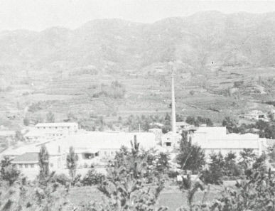 [김천 상공업의 어제와 오늘 .7] 잠사산업... 뽕나무 시배지 남면 부상리에 가야의 음악가 우륵 이야기 전해