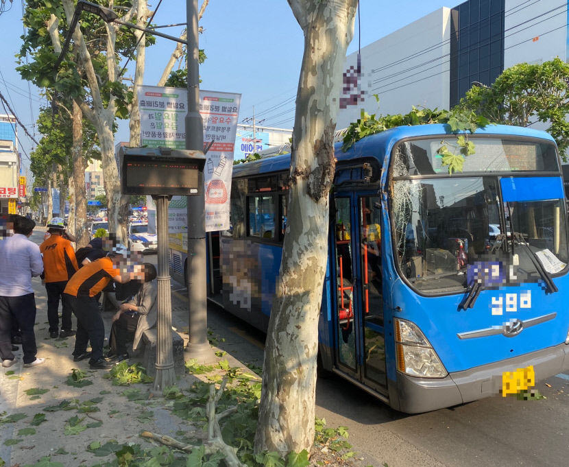 대구 남구 봉덕동 지나던 시내버스 가로수 들이받아...4명 경상