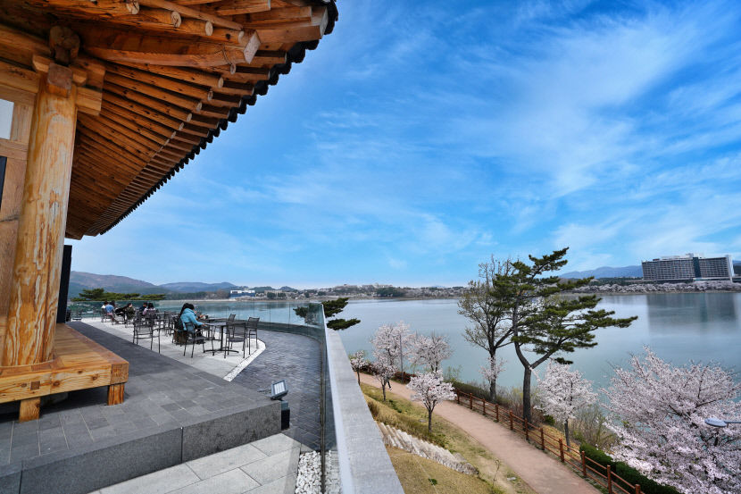 경북서 가장 경치가 좋은 카페는 어디?…경북문화관광공사 뷰 카페 100곳 선정