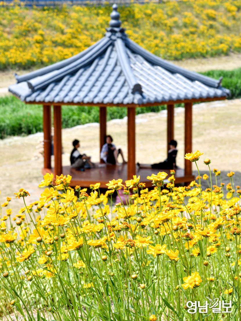 2022052501001019700032011