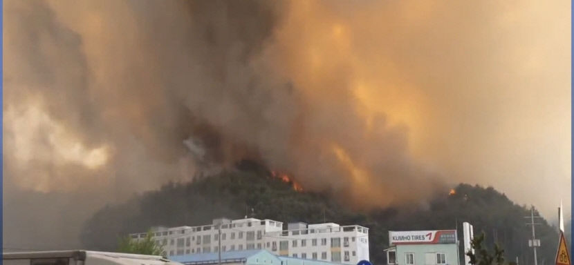 울진산불, 산불 2단계 발령, 진화에 총력