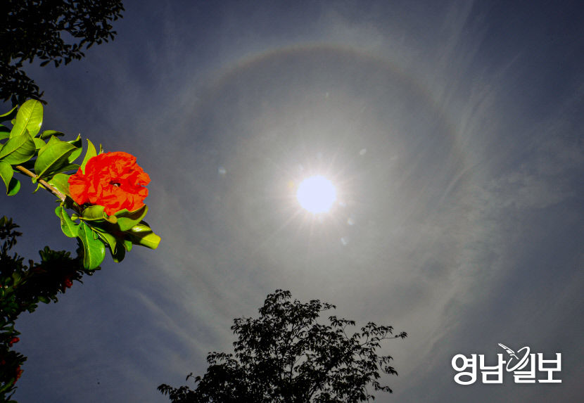 [포토뉴스] 대구 상공에 뜬 햇무리