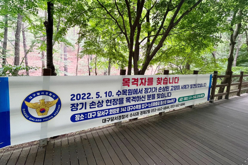 길고양이 사체 발견 대구수목원 산책로 CCTV 없어 수사 난항…수목원 CCTV 설치 검토