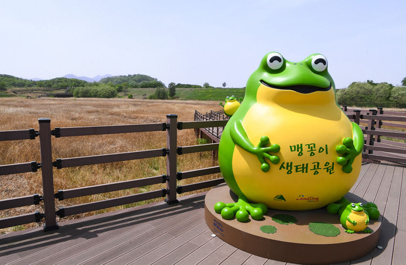 [달성 12경, 색다른 매력에 빠지다] (8) 대구의 허파 달성습지, 520여종 생물 서식…신이 내린 생명의 땅