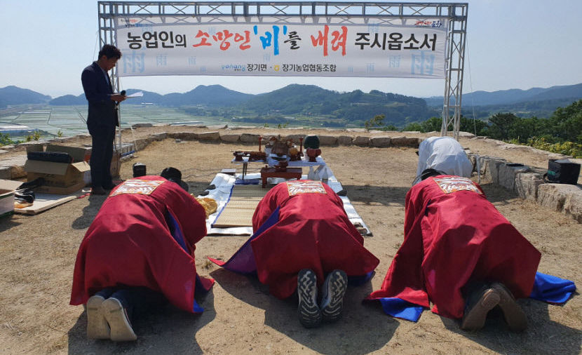 농업인의 희망인 비를 내려 주시옵소서 포항시 장기면, 단비 염원하는 기우제