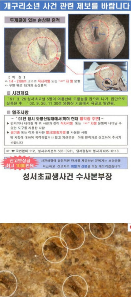 개구리 소년은 인근 고교생이 살해…흉기·범인 지목 인터넷 글 관심