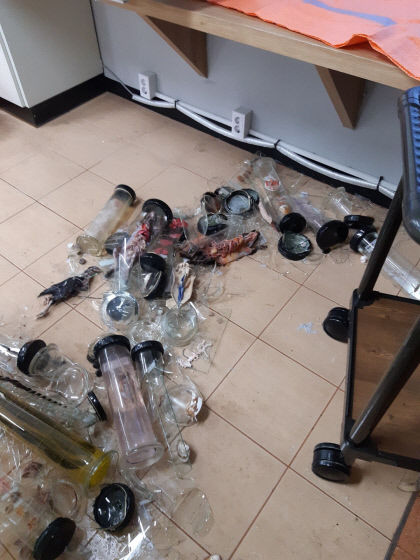영천 모 중학교 과학실 포르말린 누출, 교사 1명 경상