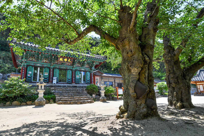 [달성 12경, 색다른 매력에 빠지다] (9) 대구 식수원·휴식처 가창댐…푸른 물빛, 녹색 숲이 빚어내는 평온함