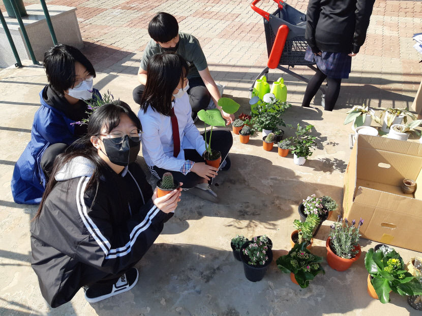 대송중자유학구제푸름지기동아리