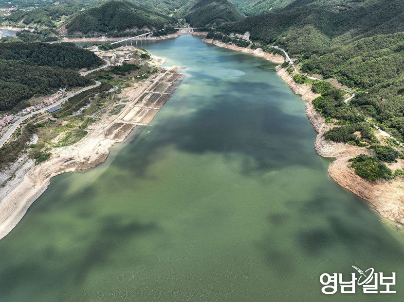 [포토뉴스] 벌써 녹조로 얼룩진 영주댐