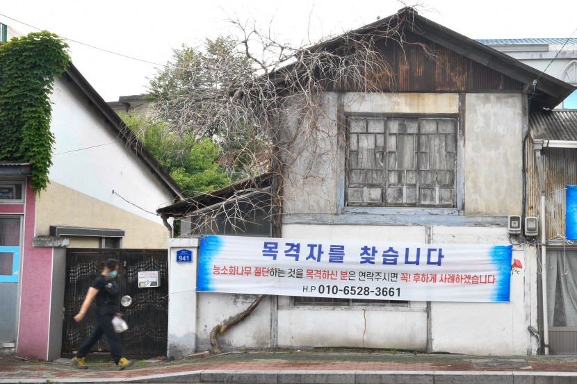 [포토뉴스] 테러로 사라진 경산 능소화 명소