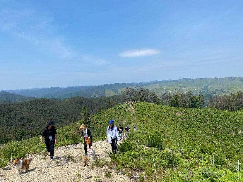 KakaoTalk_20220619_005831979_22