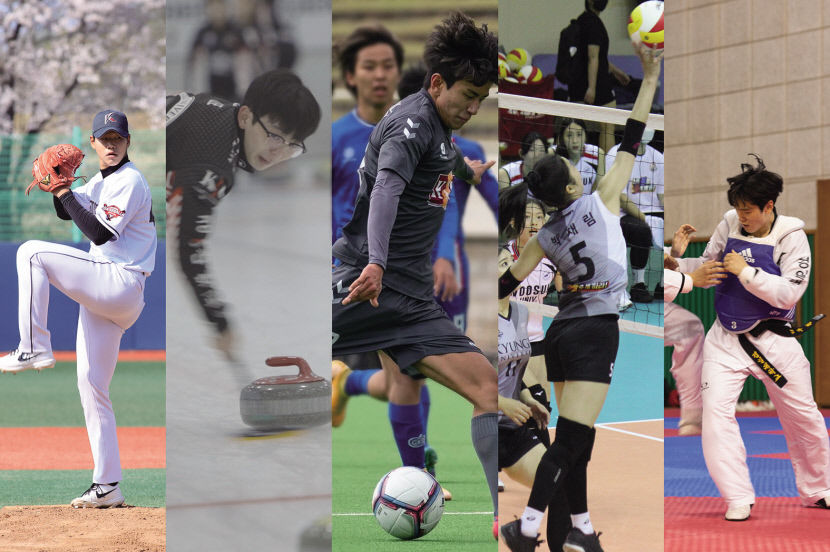 [대학] 경일대, 스포츠단 창단 3년만에 돌풍…축구·배구·컬링 등 각종대회 맹활약