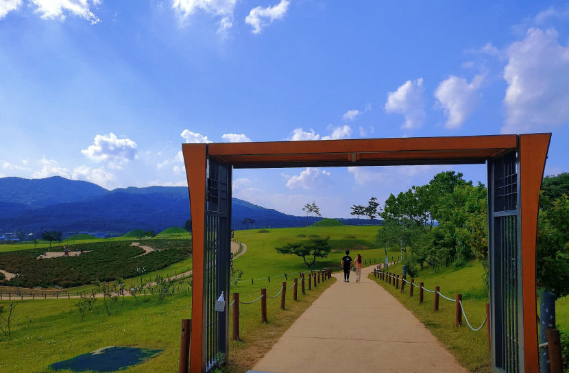 [의성군 가볼만한 곳 - 힐링 여행] 찬바람 쌩쌩 빙계계곡서 더위 식히고 고즈넉한 사촌가로숲에서 낭만산책
