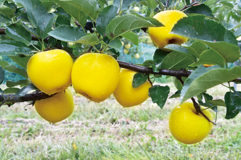 2022070801000256300010561