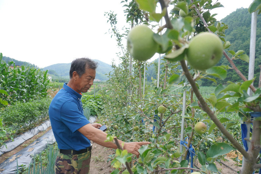 2022070801000256300010562