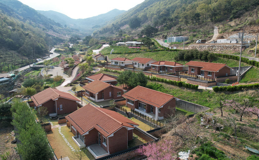 [청도 가볼만한 곳] 청도 새마을운동발상지 오싹한 신도리구미호뎐 야간 공포체험