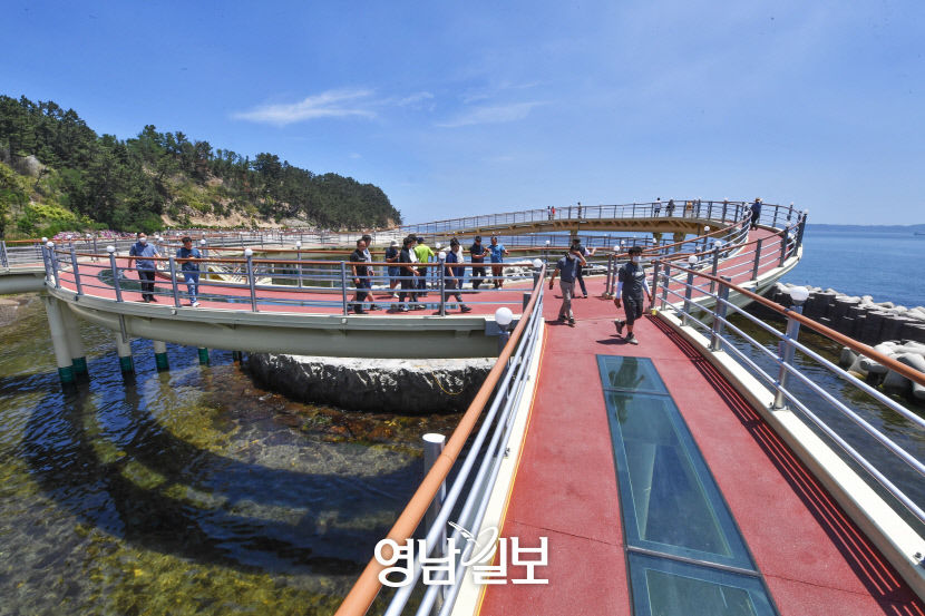[골목부터 바닷길까지, 포항 힐링로드 .3] 핫 플레이스…우주·바다 위 걸으며 인생샷  물회지구서 시원한 오감만족