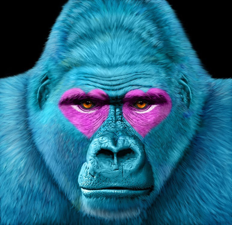 2022072401000705500029901